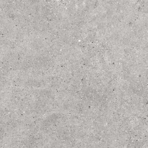 Dijon Grey 60x120cm