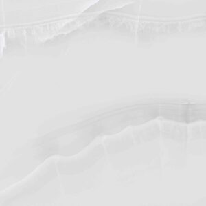 Holland Silver 60x120cm